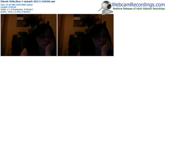 zbiornik-wiolcia42-webcam-show-11_12_2015-04_10_41