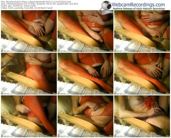 zbiornik-dominatorka69-webcam-show-11_14_2015-05_26_34