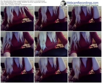 zbiornik-wspolnezabawy327-webcam-show-11_16_2015-02_02_22