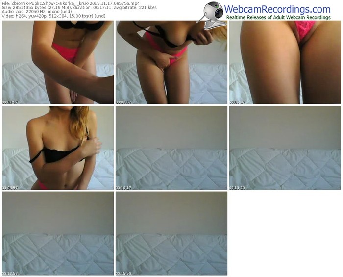 zbiornik-sikorka_i_kruk-webcam-show-11_17_2015-09_57_56