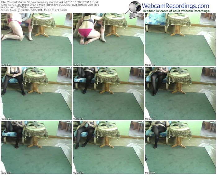zbiornik-lesneszyszeczkiparka-webcam-show-11_20_2015-12_09_18