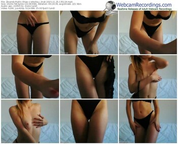 zbiornik-sikorka_i_kruk-webcam-show-11_25_2015-13_51_24