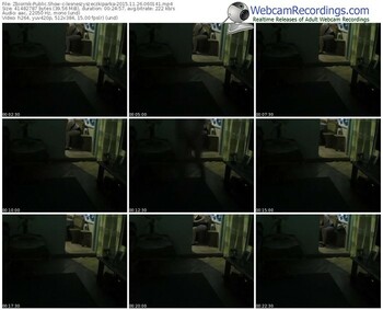 zbiornik-lesneszyszeczkiparka-webcam-show-11_26_2015-06_01_41