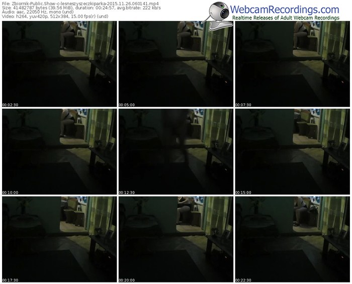 zbiornik-lesneszyszeczkiparka-webcam-show-11_26_2015-06_01_41
