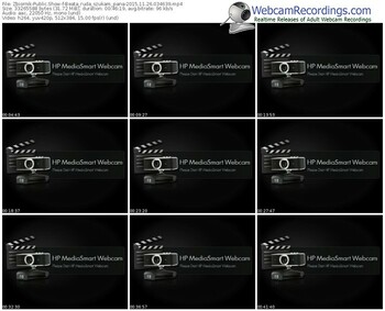 zbiornik-beata_ruda_szukam_pana-webcam-show-11_26_2015-03_46_39