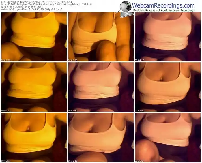 zbiornik-bbwu-webcam-show-12_01_2015-14_53_35