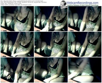 zbiornik-parka3532szuka-webcam-show-12_01_2015-21_53_42