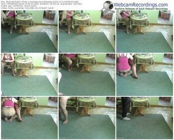 zbiornik-lesneszyszeczkiparka-webcam-show-12_10_2015-09_56_40