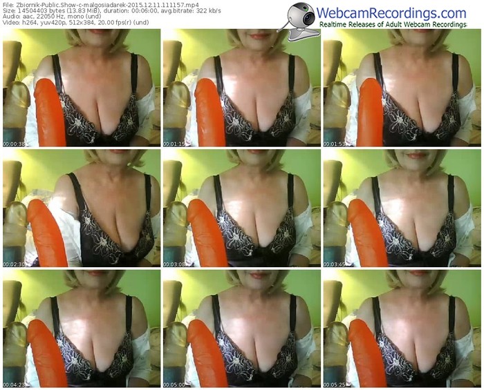 zbiornik-malgosiadarek-webcam-show-12_11_2015-11_11_57