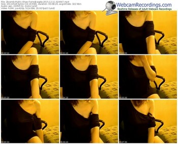 zbiornik-wredziagda-webcam-show-12_11_2015-02_46_47