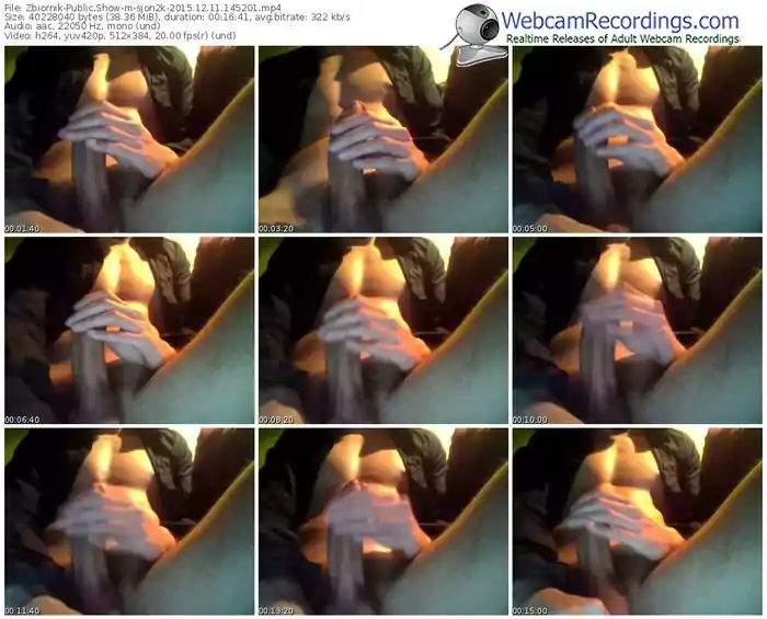 zbiornik-sjon2k-webcam-show-12_11_2015-14_52_01