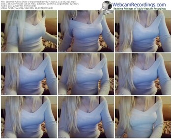 zbiornik-wspolnezabawy327-webcam-show-12_12_2015-05_22_17