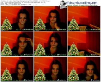 zbiornik-agentka_specjalnej_troski_07-webcam-show-12_12_2015-05_27_16