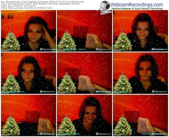 zbiornik-agentka_specjalnej_troski_07-webcam-show-12_13_2015-05_02_43