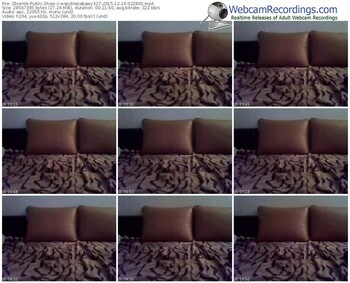 zbiornik-wspolnezabawy327-webcam-show-12_14_2015-02_28_05