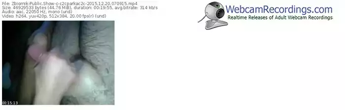 zbiornik-c2cparkac2c-webcam-show-12_20_2015-07_09_15