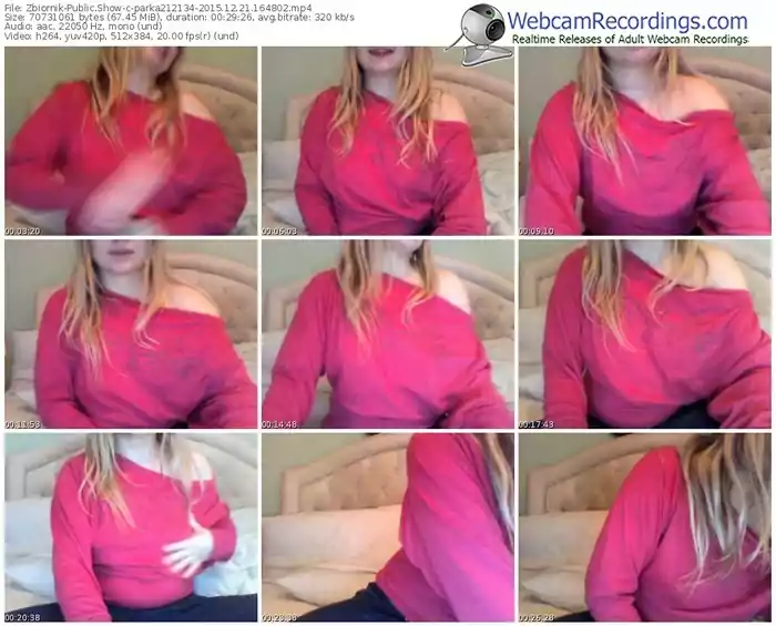 zbiornik-parka212134-webcam-show-12_21_2015-16_48_02