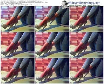 zbiornik-mlodakotka18-webcam-show-12_21_2015-14_13_01