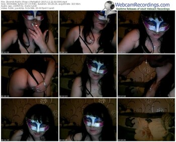 zbiornik-parka81o-webcam-show-12_22_2015-01_03_06