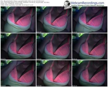 zbiornik-para30slaskbi-webcam-show-12_22_2015-00_33_05