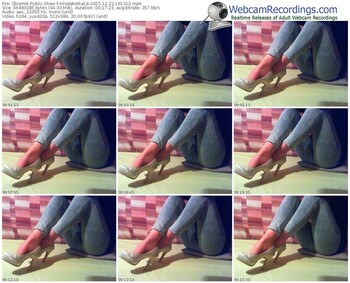 zbiornik-mlodakotka18-webcam-show-12_22_2015-16_13_12