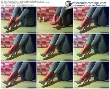 zbiornik-mlodakotka18-webcam-show-12_22_2015-16_23_12