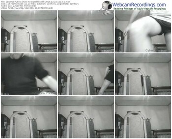 zbiornik-wojtekkkkkkk-webcam-show-12_22_2015-12_13_11