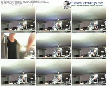 zbiornik-adekwatni_super-webcam-show-12_23_2015-18_13_25