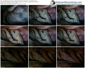 zbiornik-realna_parka7977-webcam-show-12_23_2015-04_48_19