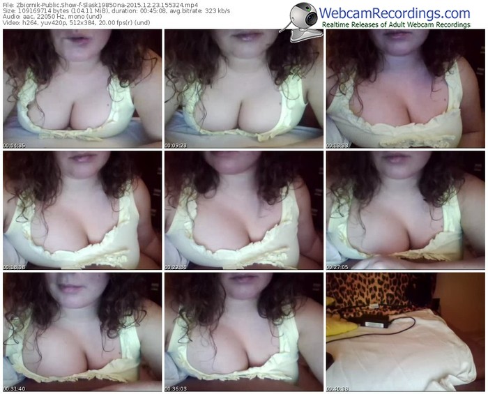 zbiornik-slask1985ona-webcam-show-12_23_2015-15_53_24