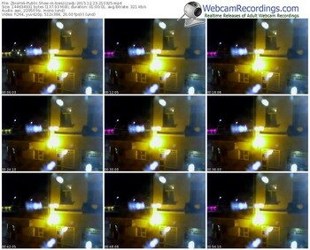 zbiornik-bieszczady-webcam-show-12_23_2015-21_03_25