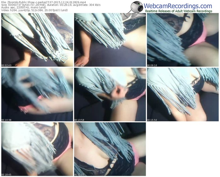 zbiornik-parka27i37-webcam-show-12_24_2015-01_28_29