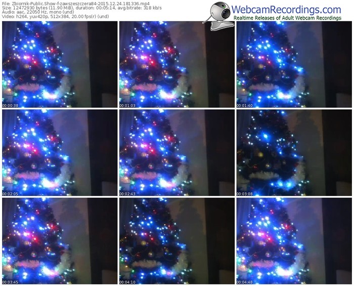 zbiornik-zawszeszczera84-webcam-show-12_24_2015-18_13_36