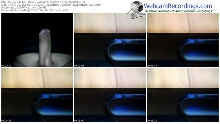 zbiornik-dziki1313-webcam-show-12_24_2015-05_58_31