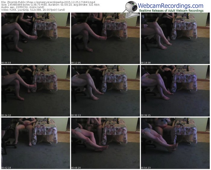 zbiornik-lesneszyszeczkiparka-webcam-show-12_25_2015-17_18_43