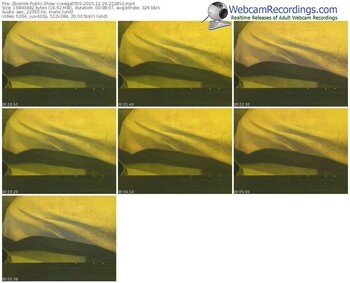 zbiornik-wega5555-webcam-show-12_26_2015-22_28_52
