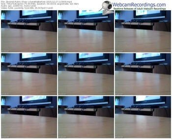 zbiornik-aanetkabartosz-webcam-show-12_27_2015-11_59_06