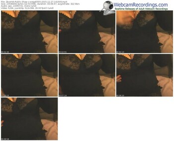 zbiornik-wega5555-webcam-show-12_27_2015-14_19_09