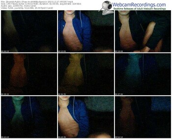 zbiornik-art89bydgoszcz-webcam-show-12_27_2015-05_53_57