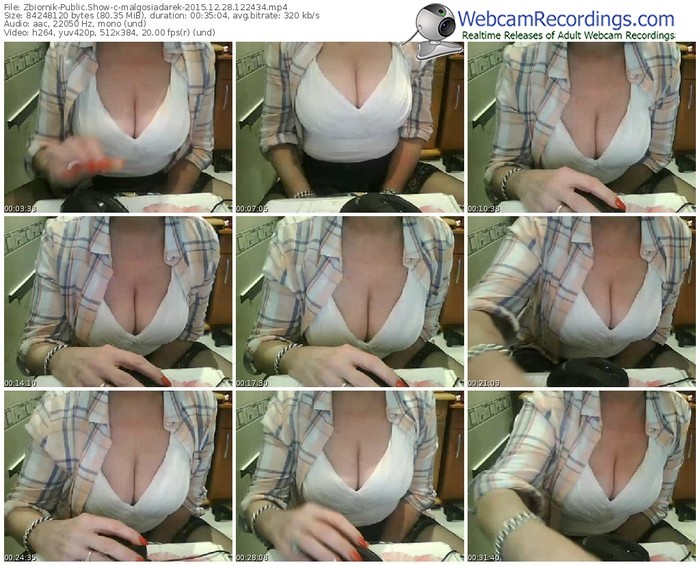 zbiornik-malgosiadarek-webcam-show-12_28_2015-12_24_34