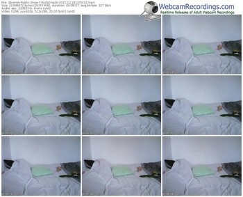 zbiornik-rudaona29-webcam-show-12_28_2015-10_54_32