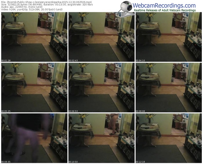 zbiornik-lesneszyszeczkiparka-webcam-show-12_30_2015-06_25_06