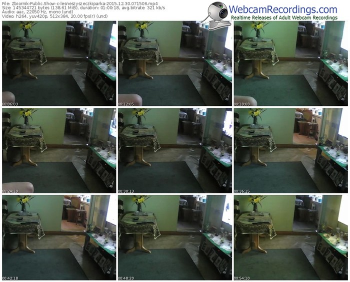 zbiornik-lesneszyszeczkiparka-webcam-show-12_30_2015-07_15_06