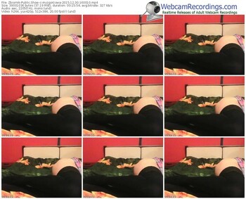 zbiornik-myzgorzowa-webcam-show-12_30_2015-16_00_10