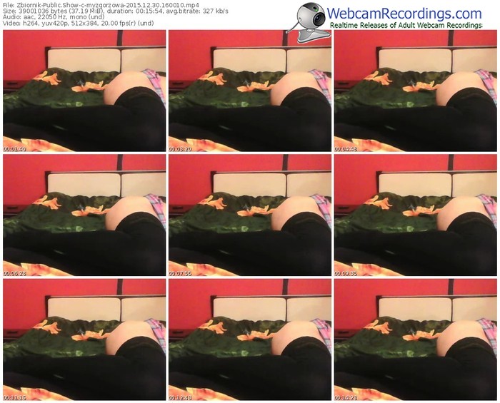 zbiornik-myzgorzowa-webcam-show-12_30_2015-16_00_10