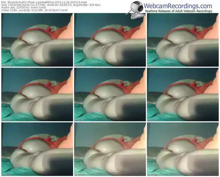 zbiornik-parka8891p-webcam-show-12_30_2015-23_20_13