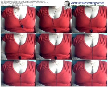 zbiornik-personal_dream-webcam-show-12_31_2015-12_00_19
