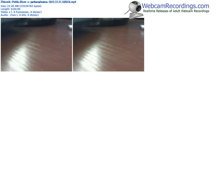 zbiornik-parkarealwawa-webcam-show-12_31_2015-10_50_18