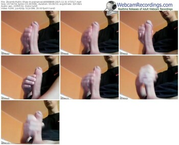 zbiornik-poznaniaczek888888-webcam-show-12_31_2015-07_25_17