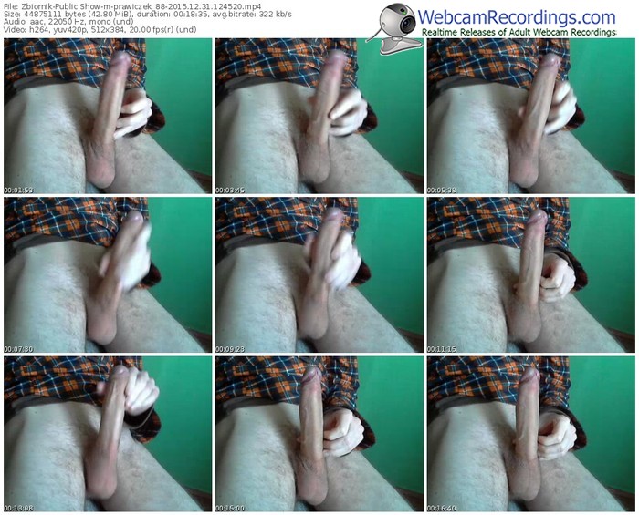 zbiornik-prawiczek_88-webcam-show-12_31_2015-12_45_20